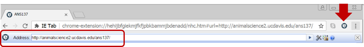 IE Address Bar