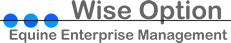 Wise Option logo