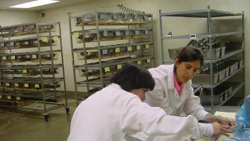 Rosina Fossati and Alma Islas at the mouse colony, 2001