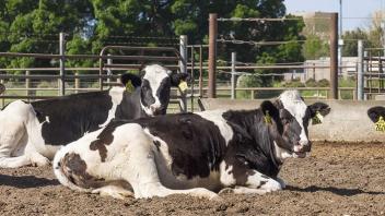 Dairy Facility