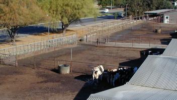 Dairy Facility