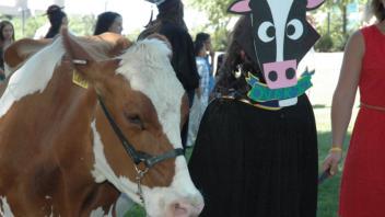 Spring Commencement 2013