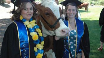 Spring Commencement 2013