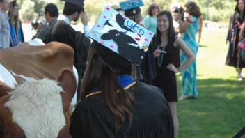 Spring Commencement 2013