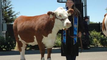 Spring Commencement 2013