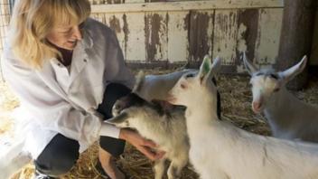 Goat Facility