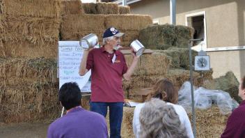 Scenes from Horse Day 2016