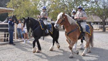 Scenes from Horse Day 2016