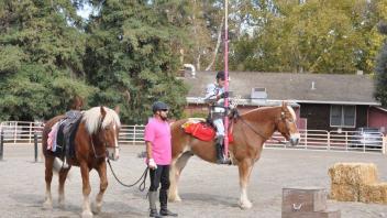 Scenes from Horse Day 2016