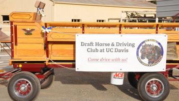 Scenes from Horse Day 2016