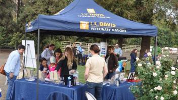 Scenes from Horse Day 2016
