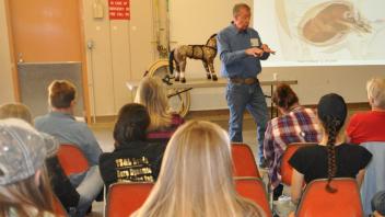 Scenes from Horse Day 2016