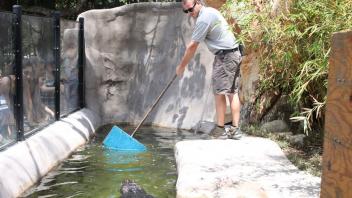 A Day in the Life of a Zookeeper