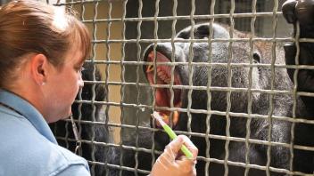 A Day in the Life of a Zookeeper