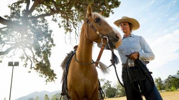 The Santa Cruz Island horse breed is known for its affection and trusting nature. Here Abby Followwill stands with, Cochise, at El Campeon Farms in Thousand Oaks, Calif. UC Davis researchers are working with El Campeon Farms to preserve the Santa Cruz Island horse, which for centuries lived on the Channel Islands.