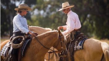 Jeff Ohaco, left, and Abby Followwill, left, ride Santa Cruz Island horses. They are the ambassadors of the breed, traveling to horse shows to promote the usefulness of the horses. UC Davis researchers are working with El Campeon Farms to preserve the Santa Cruz Island horse, which for centuries lived on the Channel Islands.