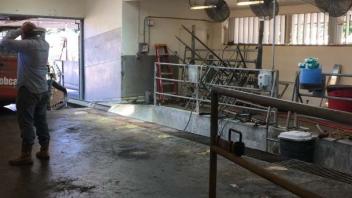 UC Davis Dairy: 9:30 am