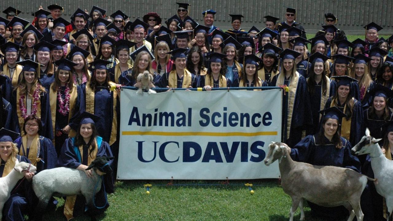 Animal Science Moments