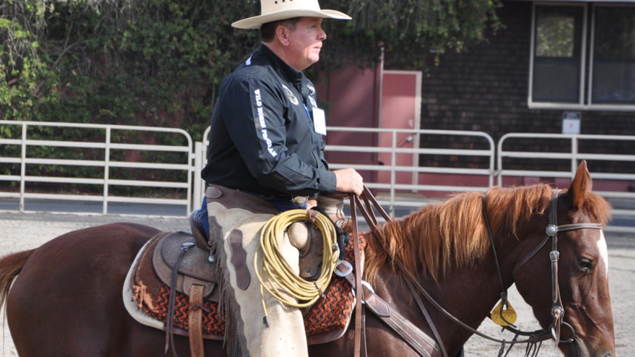 Scenes from Horse Day 2015