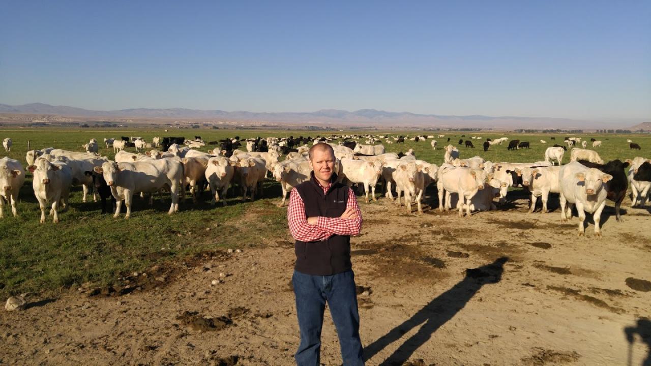 Justin Buchanan, a UC Davis postdoctoral researcher for Alison Van Eenennaam of the Department of Animal Science, was hired by Simplot as a geneticist at the project’s conclusion. Justin Buchanan, a UC Davis postdoctoral researcher for Alison Van Eenennaam of the Department of Animal Science, was hired by Simplot as a geneticist at the project’s conclusion.