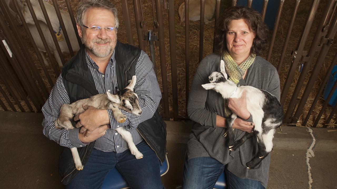 Animal Science Professors Jim Murray and Elizabeth Maga Animal Science Professors Jim Murray and Elizabeth Maga