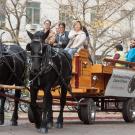Draft Horse Club