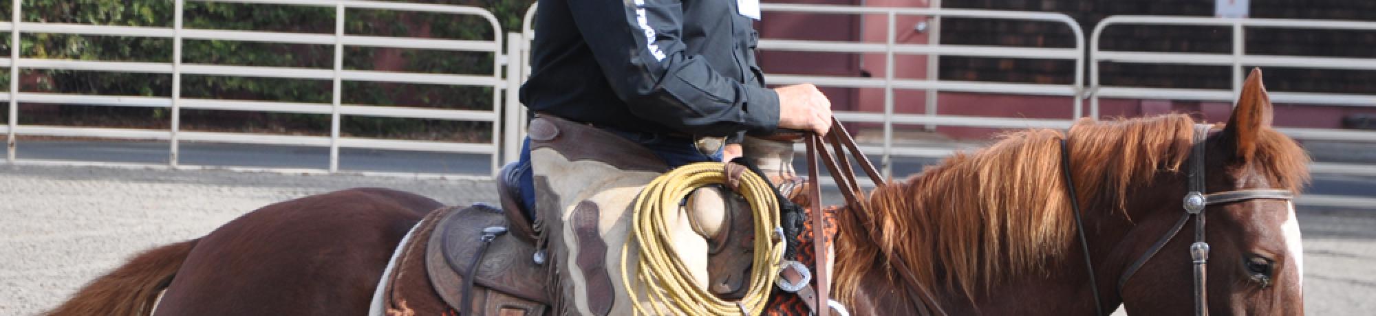 Scenes from Horse Day 2015