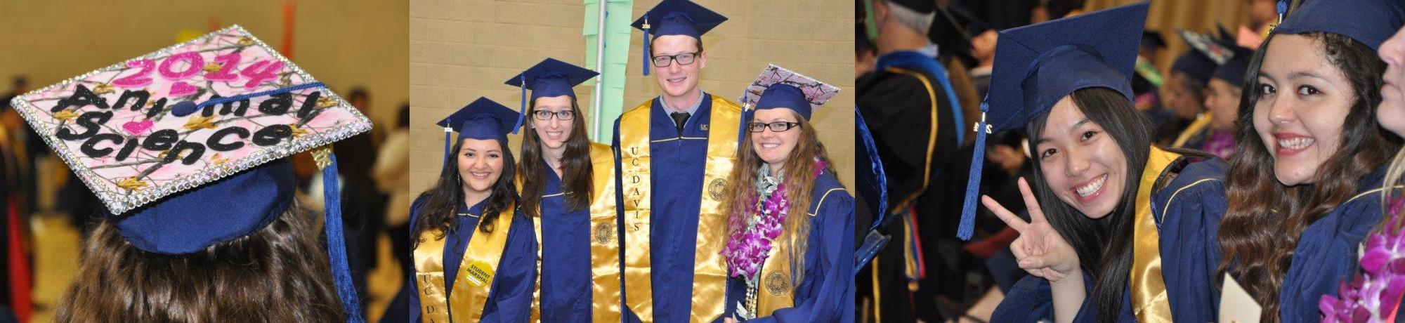 graduation
