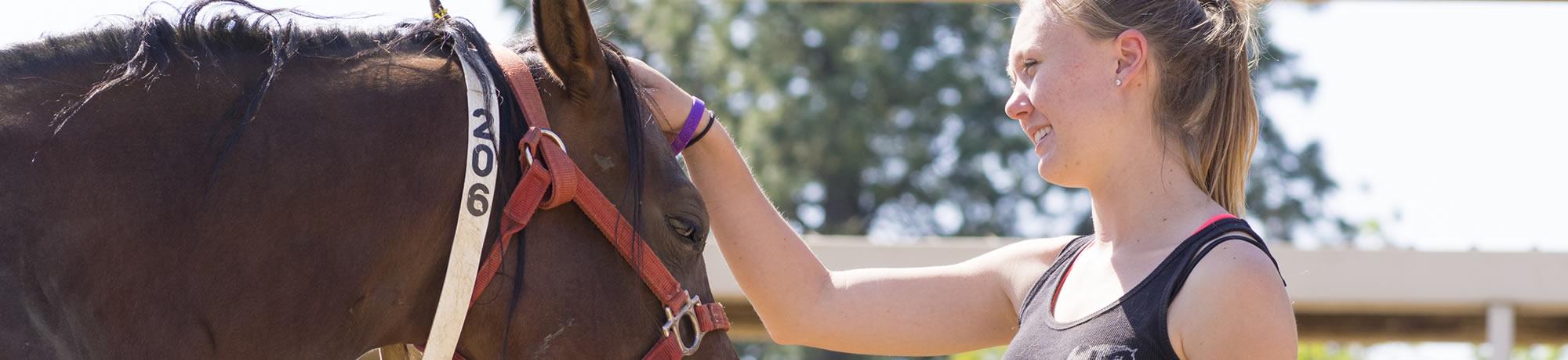 horse with student
